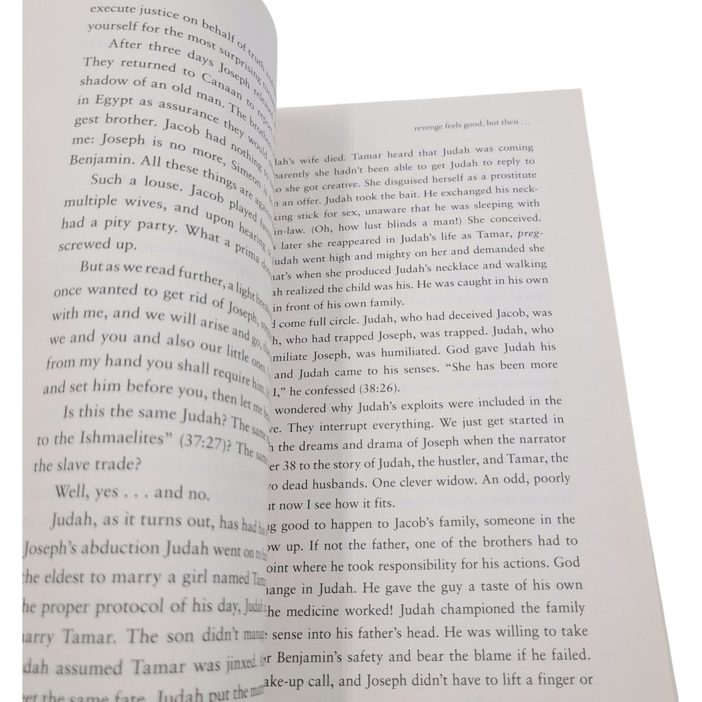 You'll Get Through This by Max Lucado – 2013 Thomas Nelson Paperback