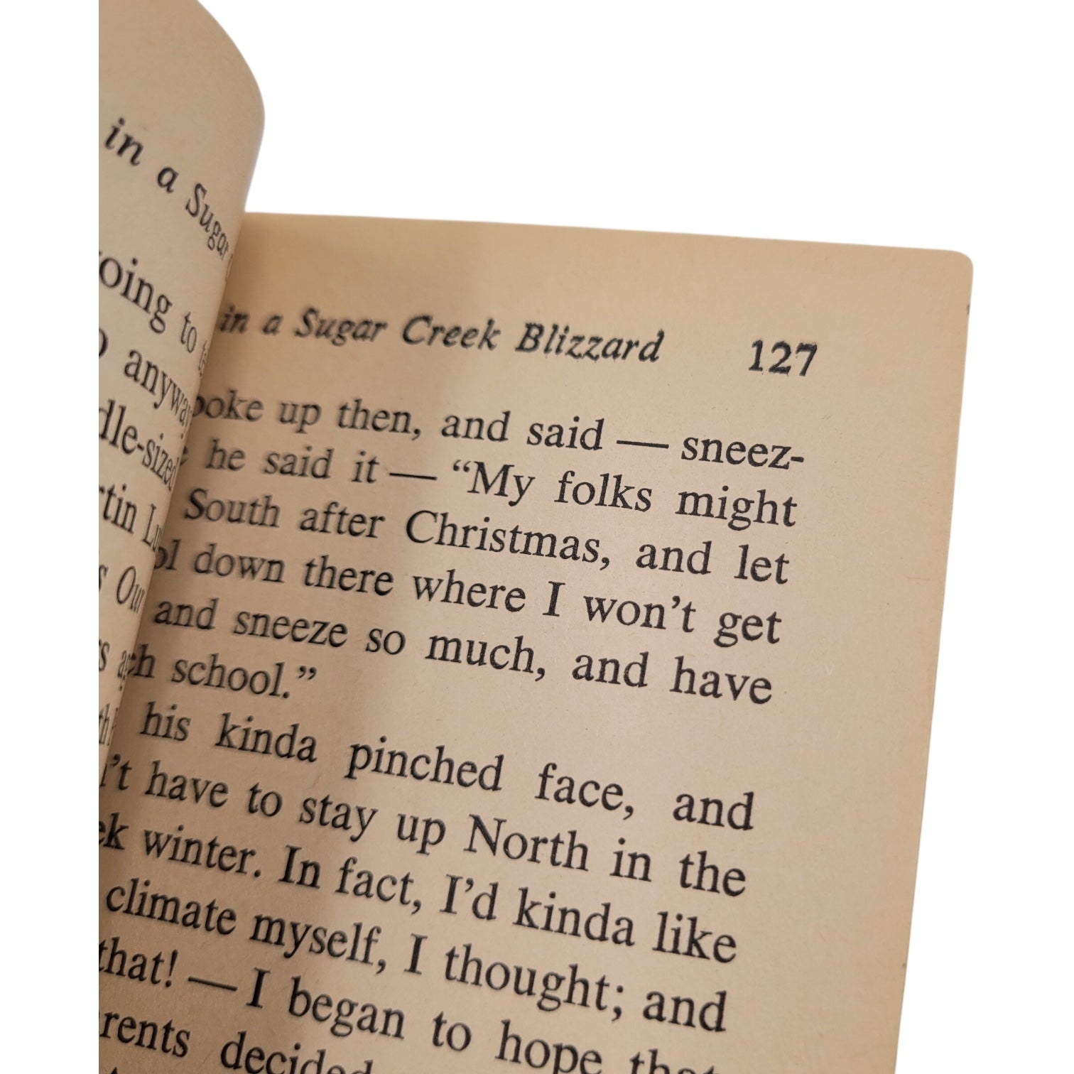 Sugar Creek Gang: Lost in the Blizzard (1965 Moody Press Vintage Paperback)