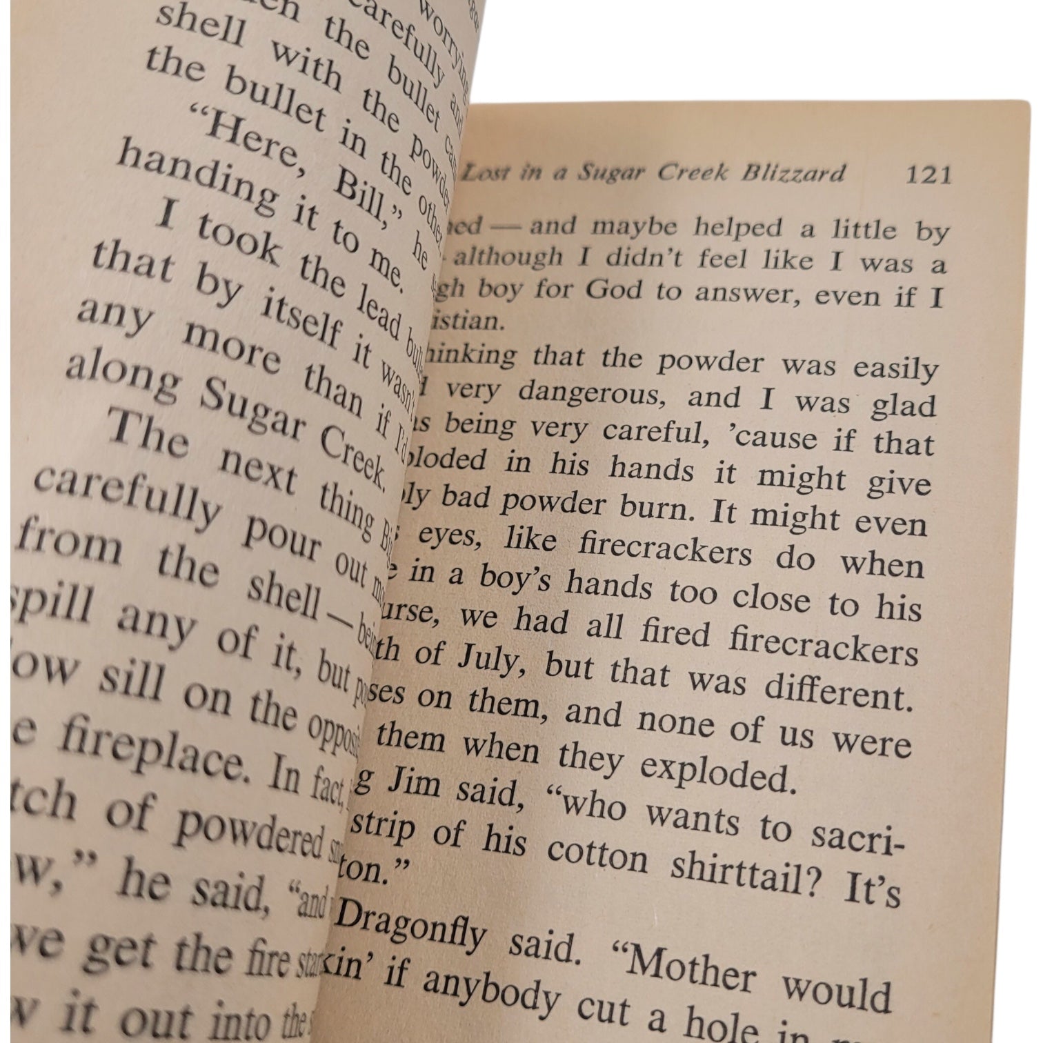 Sugar Creek Gang: Lost in the Blizzard (1965 Moody Press Vintage Paperback)