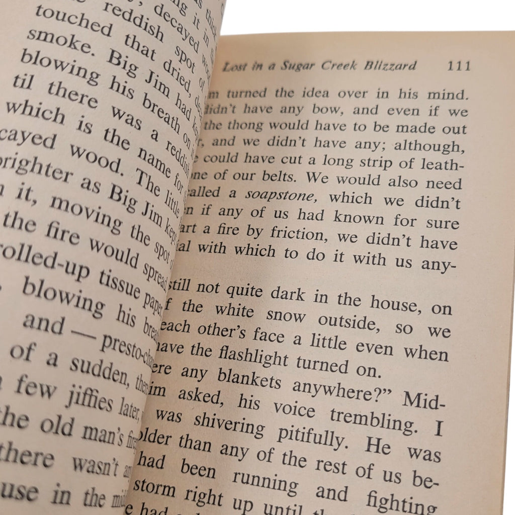 Sugar Creek Gang: Lost in the Blizzard (1965 Moody Press Vintage Paperback)