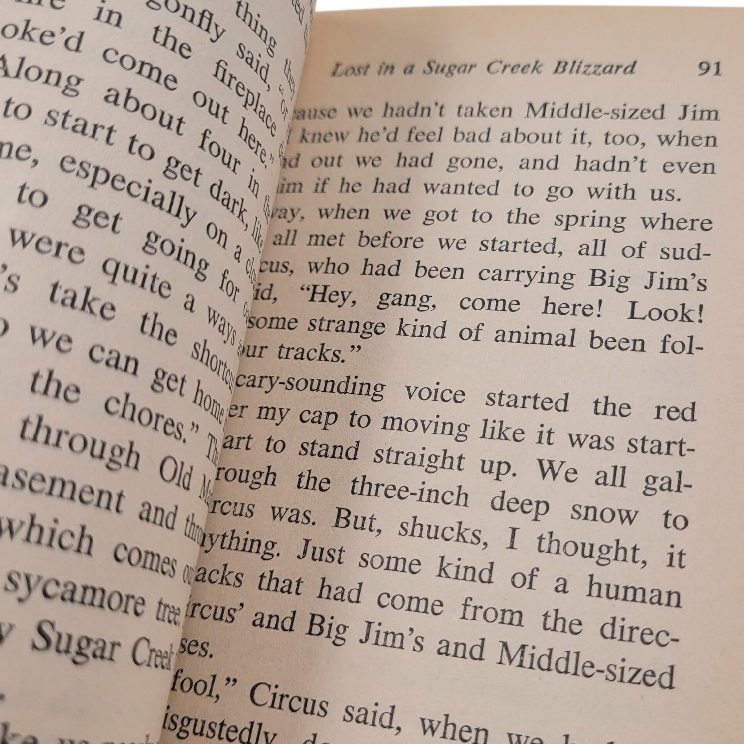 Sugar Creek Gang: Lost in the Blizzard (1965 Moody Press Vintage Paperback)