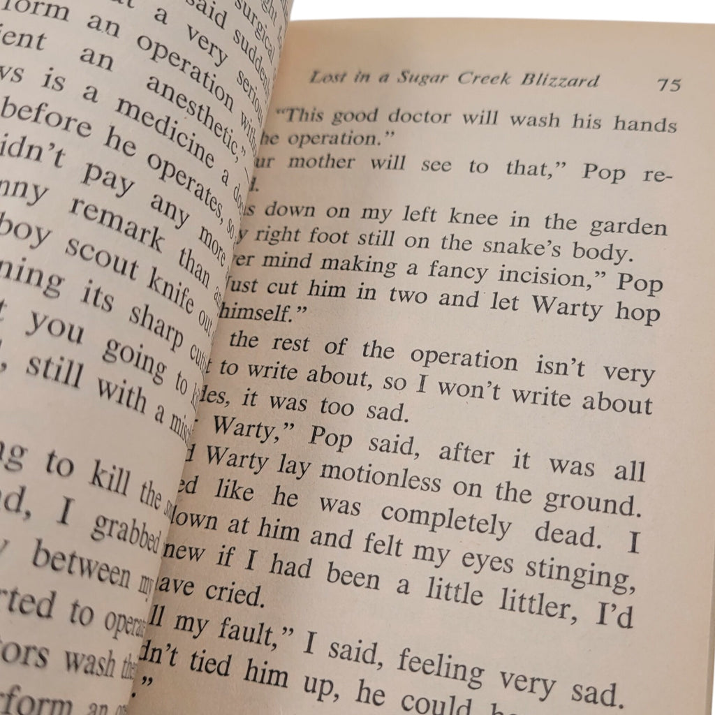 Sugar Creek Gang: Lost in the Blizzard (1965 Moody Press Vintage Paperback)