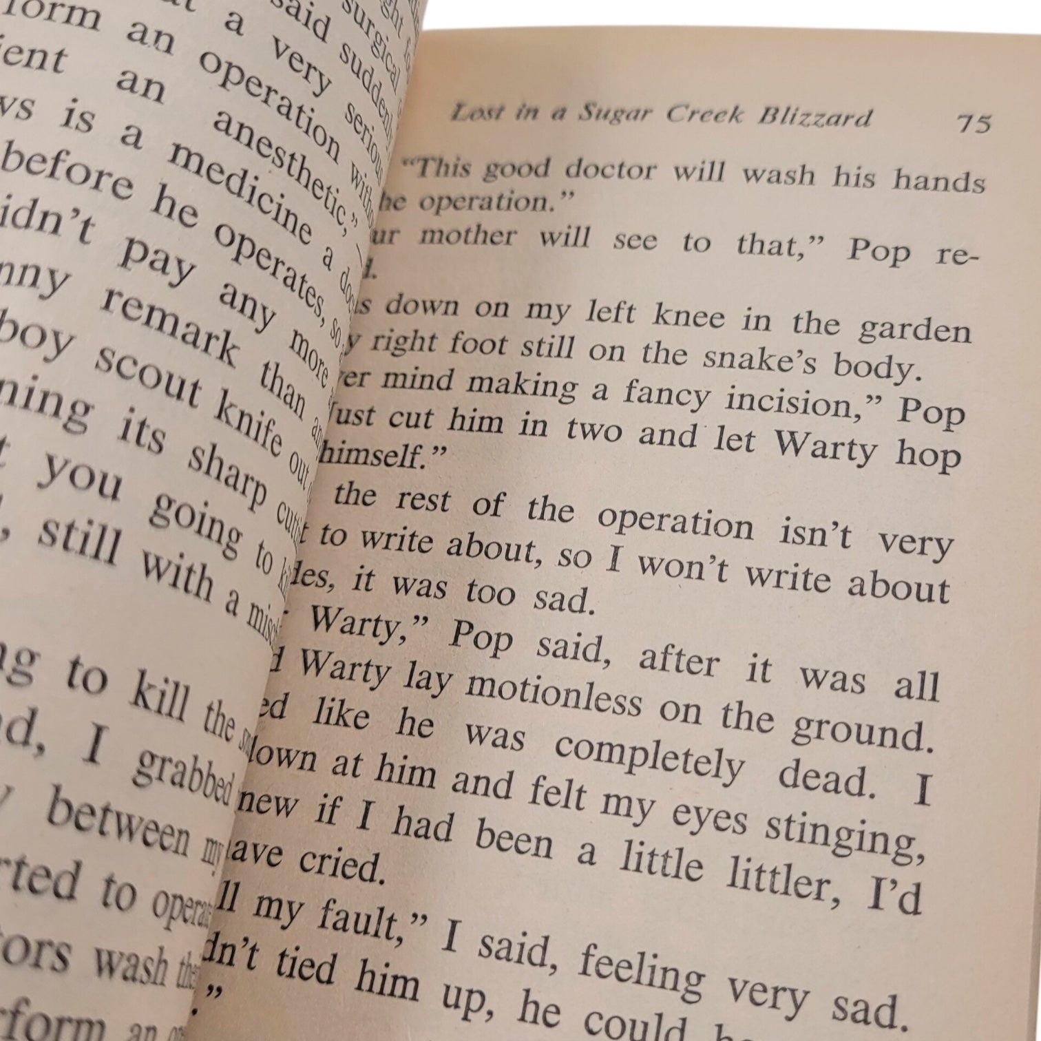 Sugar Creek Gang: Lost in the Blizzard (1965 Moody Press Vintage Paperback)