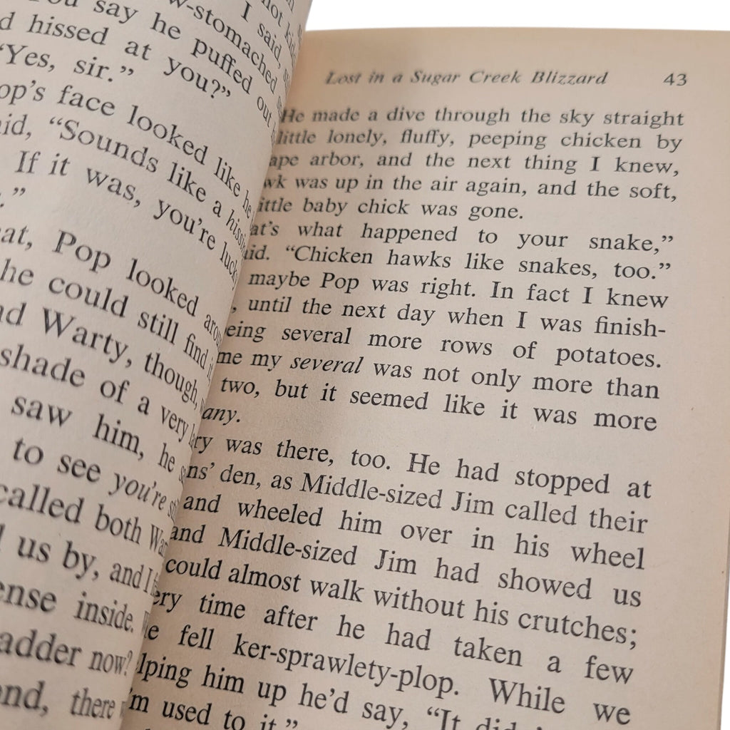 Sugar Creek Gang: Lost in the Blizzard (1965 Moody Press Vintage Paperback)