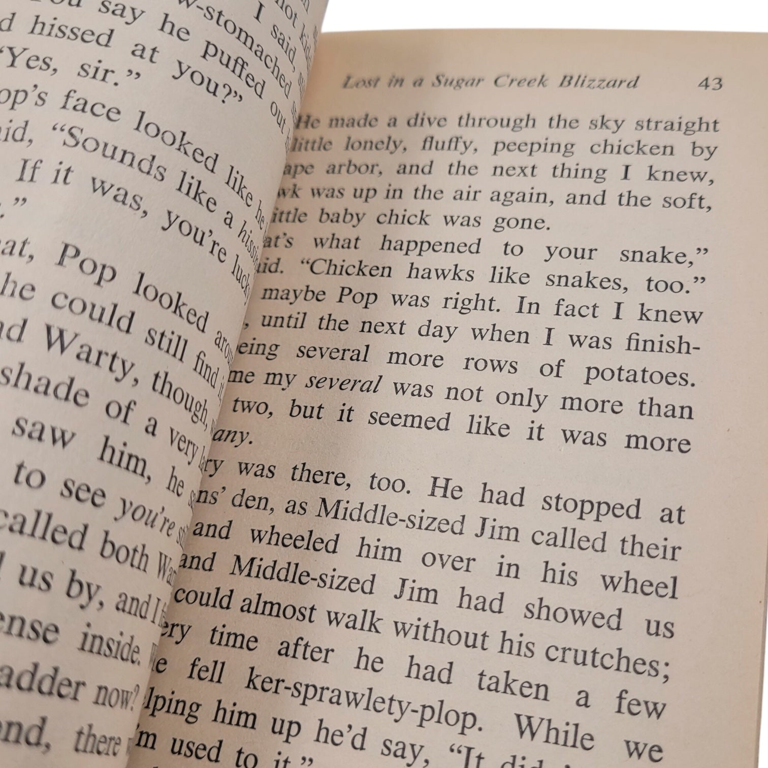 Sugar Creek Gang: Lost in the Blizzard (1965 Moody Press Vintage Paperback)