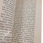 Only Earth and Sky Last Forever by Nathaniel Benchley – 1973 Vintage Paperback
