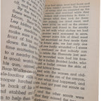 Only Earth and Sky Last Forever by Nathaniel Benchley – 1973 Vintage Paperback