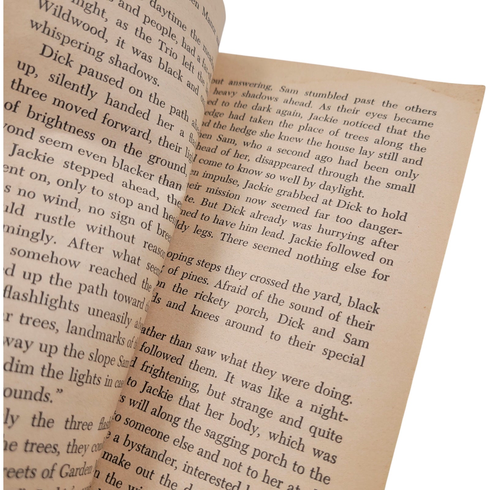 The Ghostly Trio by Nancy Woollcott Smith – 1968 Whitman Vintage Paperback