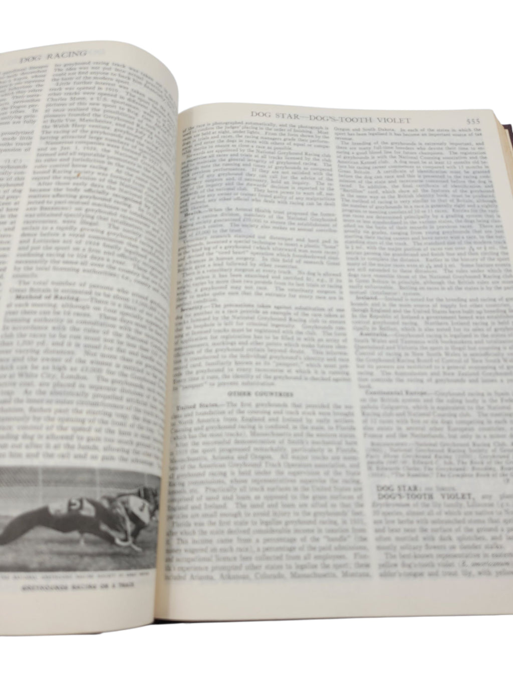 Encyclopaedia (Encyclopedia) Britannica Volume 7 (1967) – Daisy to Educational Psychology) Britannica Volume 7 (1967) – Daisy to Educational Psychology
