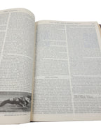 Encyclopaedia (Encyclopedia) Britannica Volume 7 (1967) – Daisy to Educational Psychology) Britannica Volume 7 (1967) – Daisy to Educational Psychology