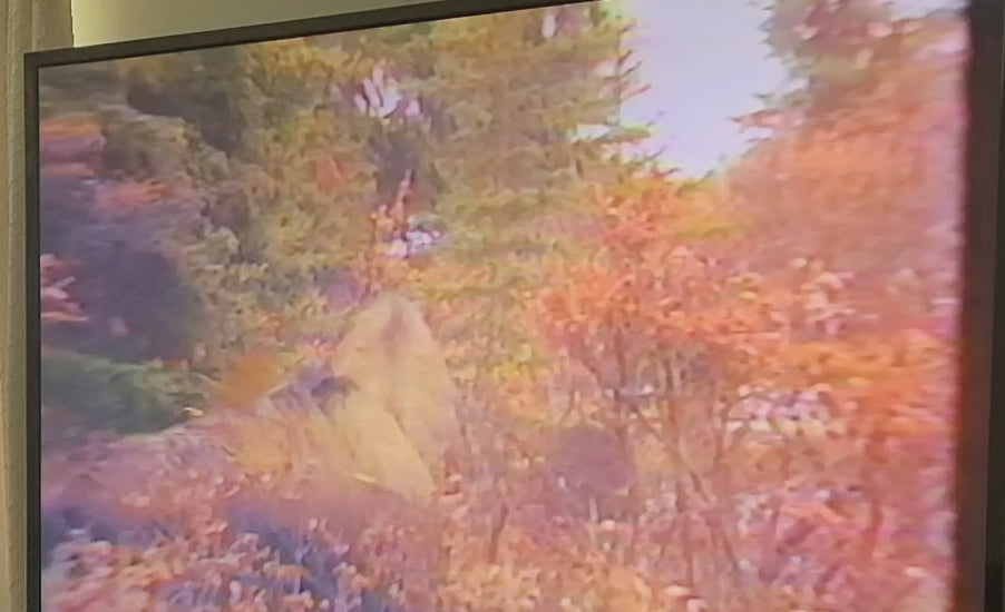 Whitetail Widowmakers VHS 1995 – Rocket Aeroheads Hunting Video (Tested)